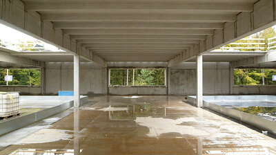 Kosmos Raumknoten GP EZF P1010068 2