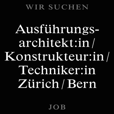 Verstärkung im Ausführungsteam eines öffentlichen Grossprojekts
